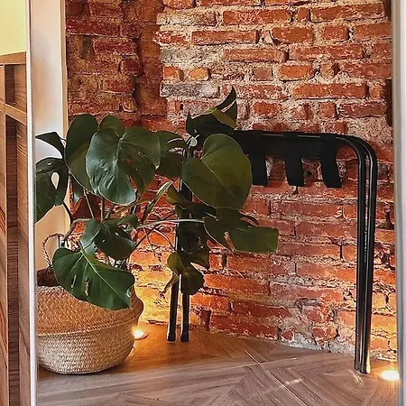 Odara Design Apartamento Milão